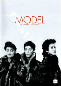 Model (DVD)